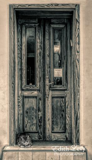 Israel, Tel Aviv, hotel, Peer Hotel, cat, door, wood door, monochrome, travel photography