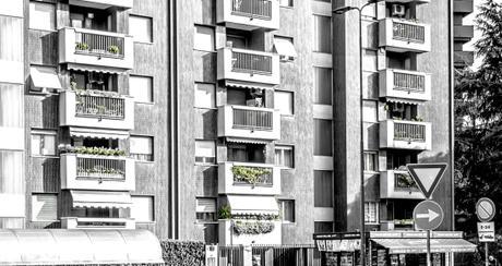 Greens of Milano _DSC9100