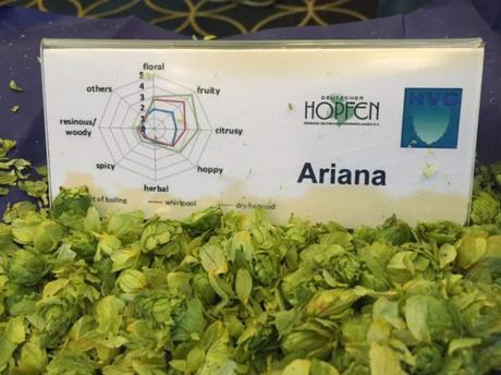 Don’t Count Out the Reinheitsgebot! German Hops Find Fruit Flavor