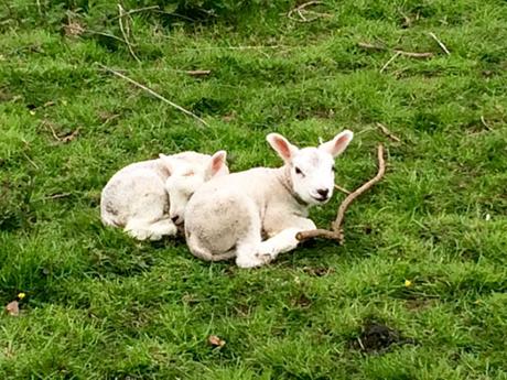 Photos From Our Cotswolds Hiking Tour, England