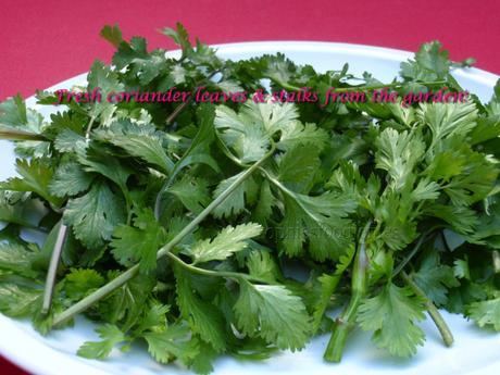 Fresh chard & fresh coriander leaves from our garden , made into a lovely wok dinner!