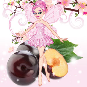 Dance of the Sugar Plum Fairy Fragrance Oil