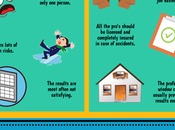 Professional Window Cleaning [Infographic]
