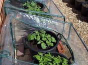 Shuffling Things Around