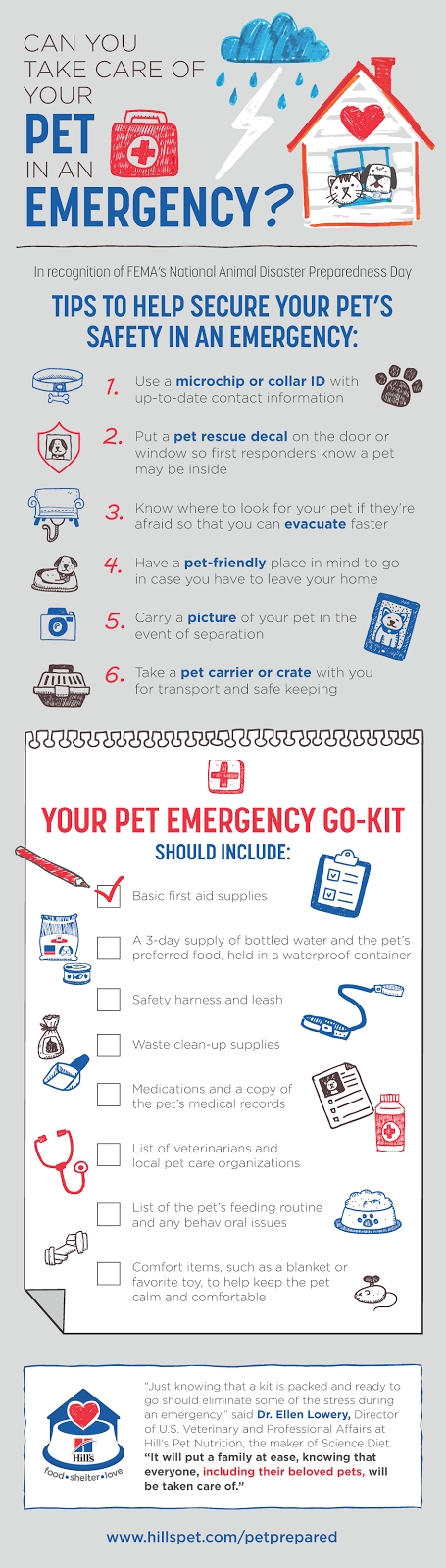 emergency go kit and disaster plan for your pet