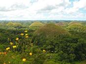 Usual Bohol Land Tour