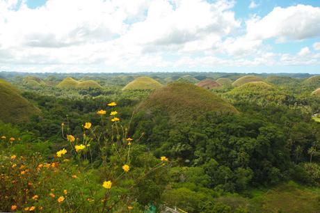 The Usual Bohol Land Tour