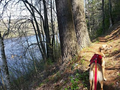 Mother's Day @ Grandfather Falls (with Recipe!)