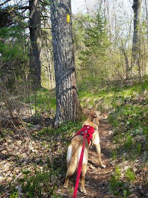 Mother's Day @ Grandfather Falls (with Recipe!)