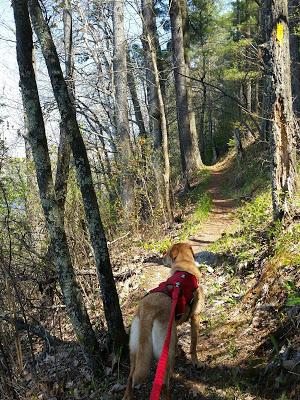 Mother's Day @ Grandfather Falls (with Recipe!)