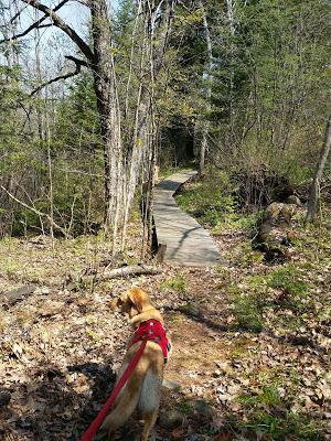 Mother's Day @ Grandfather Falls (with Recipe!)