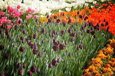 In & Around London… #London Spring 2016