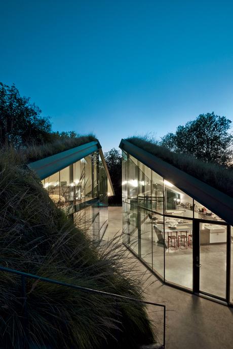 Modern glass house in Texas with living roof
