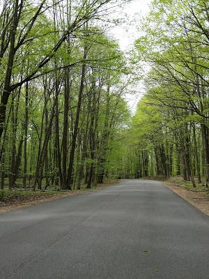 A Day Off To Reconnect With Nature