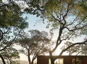 This Modern Prefab Perfect