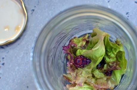 Good news: it must be organic, because this froggie friend spent a couple of days in the lettuce before being discovered