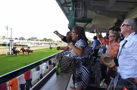 horses race at finish line