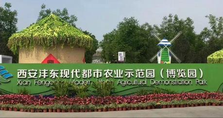 Shaun the Sheep, Poisonous Plants and Butter Lettuce Bouquets. This is China. Agricultural Park in Xi'an China
