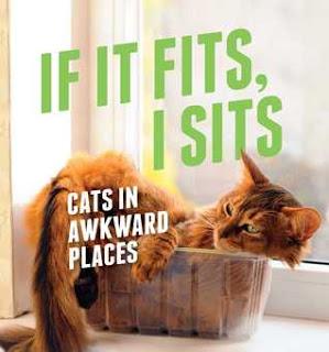 If It Fits, I Sits- Cats in Awkward Places- by Various Unknown Authors- Feature and Review