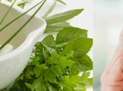 Natural Ayurvedic Herbs Control Asthma