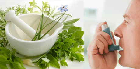 Natural Ayurvedic herbs to control Asthma