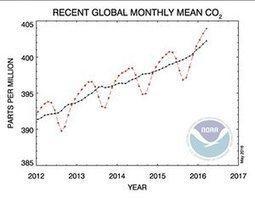 World’s carbon dioxide concentration teetering on the point of no return