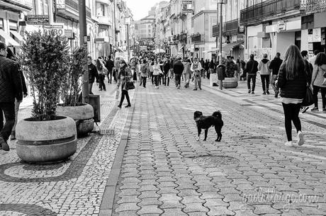 Rua Santa Catarina, Porto