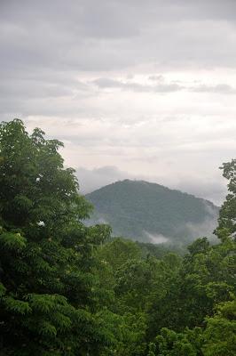 On a Rainy Morning