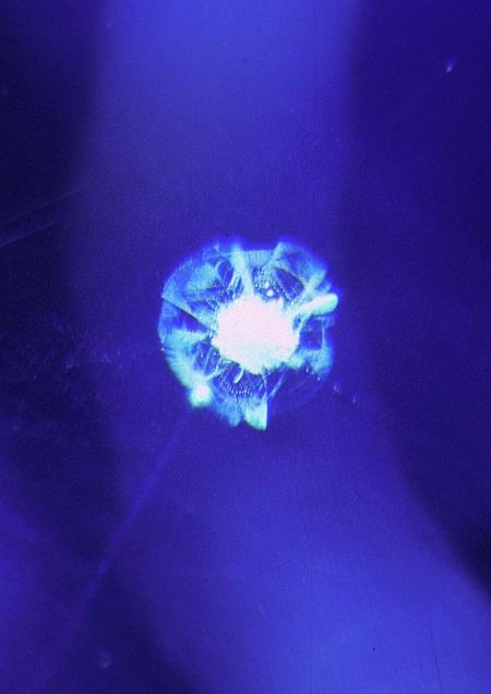Glowing Jellyfish: Gübelin’s magnificent sapphire ring