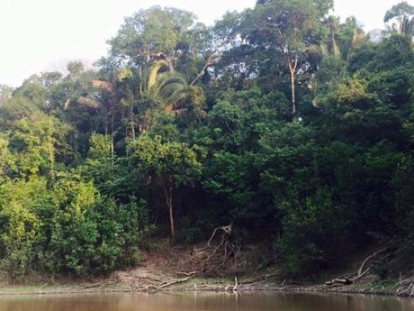 Surviving the Amazon Jungle Part 1 – Enduring Day One