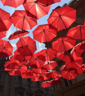 red umbrellas by daylight