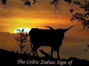 Forty-One Years Young Today!