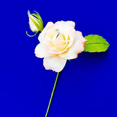 Top 8 DIY paper flower tutorials Top 8 DIY paper flower tutorials