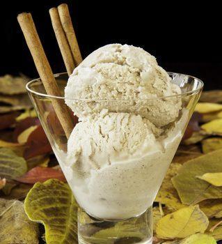 paleo desset recipes cinnamon ice cream featured image