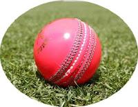 the bearder at stadium ~ pink ball test - onesided match in IPL