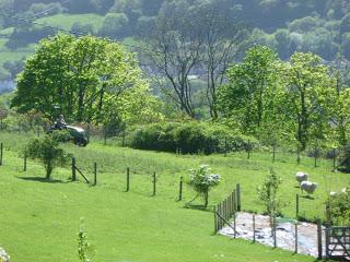 Tidying Up and Chasing Sheep