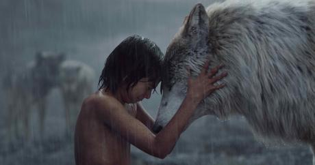 IMC Campaign of the Month – The Jungle Book