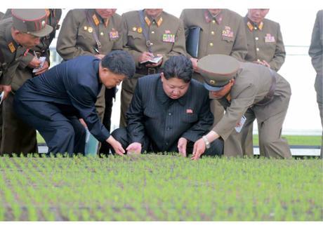 Kim Jong Un is briefed about cultivation at the tree nursery (Photo: Rodong Sinmun).