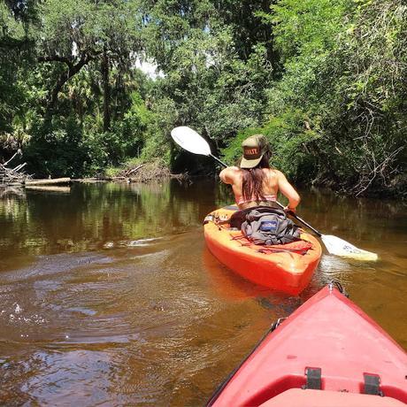 Sometimes to Get to the Good Stuff, You've Got to Paddle Upstream