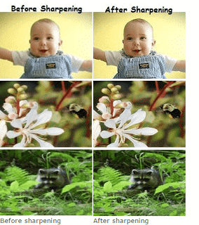 10 Best Tools to Unblur Photos Online (Both Free & Paid)