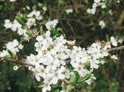 Things About England