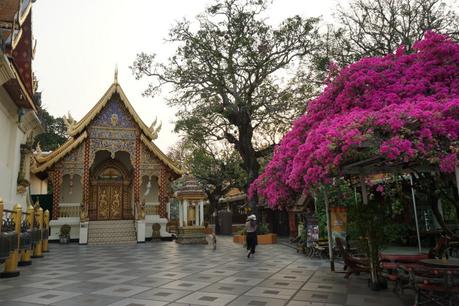 Thailand: Chiang Mai