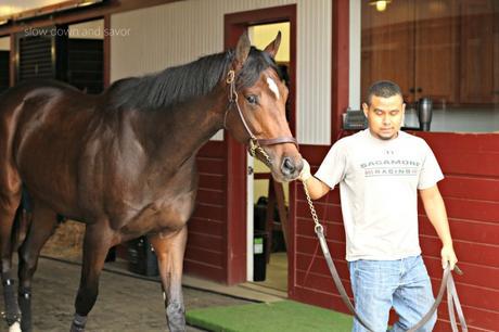 The Past is Present at Sagamore Farm – Gearing up for Preakness 2016