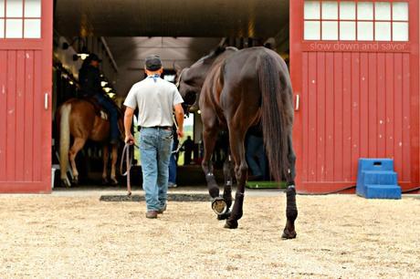 The Past is Present at Sagamore Farm – Gearing up for Preakness 2016