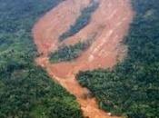 Heavy Rains Massive Landslides Cause Havoc Lanka