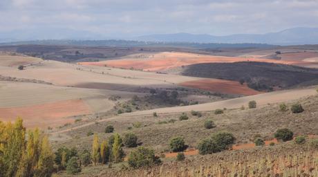 Árida tierra soriana