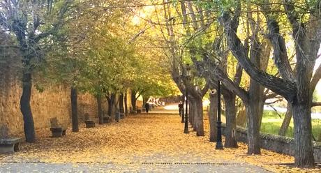 Alameda de nosédónde en Soria