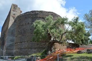 Hortus Romam 2 - Hadrian's Villa