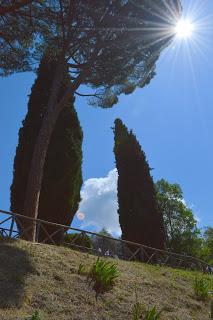 Hortus Romam 2 - Hadrian's Villa