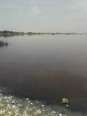 Visting A Pink Lake! : My Trip to Lac Rose in Senegal Lac Rose, Senegal